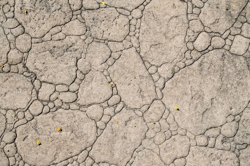 Decorative Concrete Repair in Arvada, CO