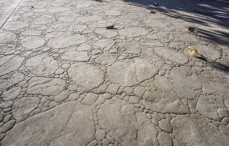 Decorative Concrete Repair in Jackson, MI